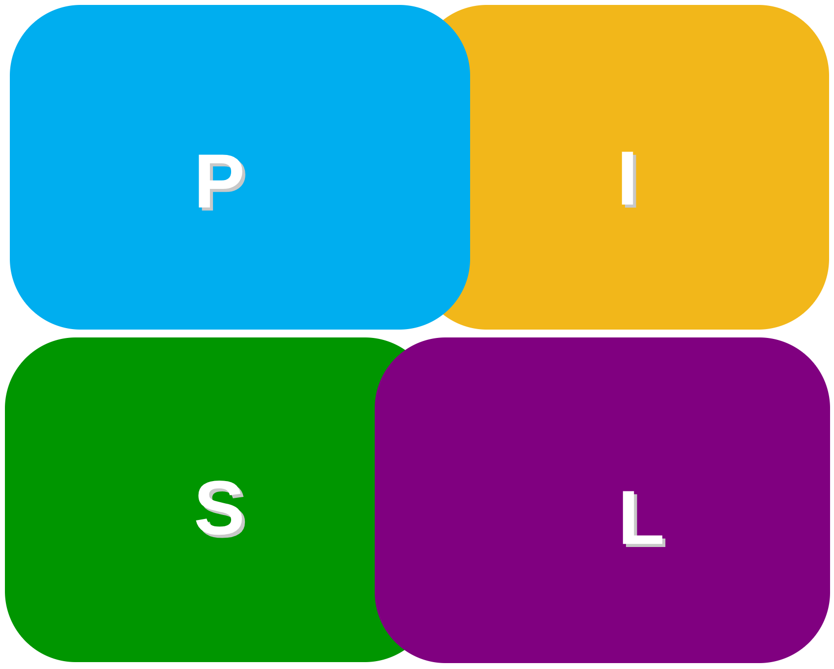 Prime Information Systems logo