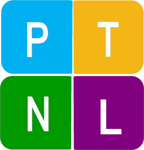 Prime Time Networks logo